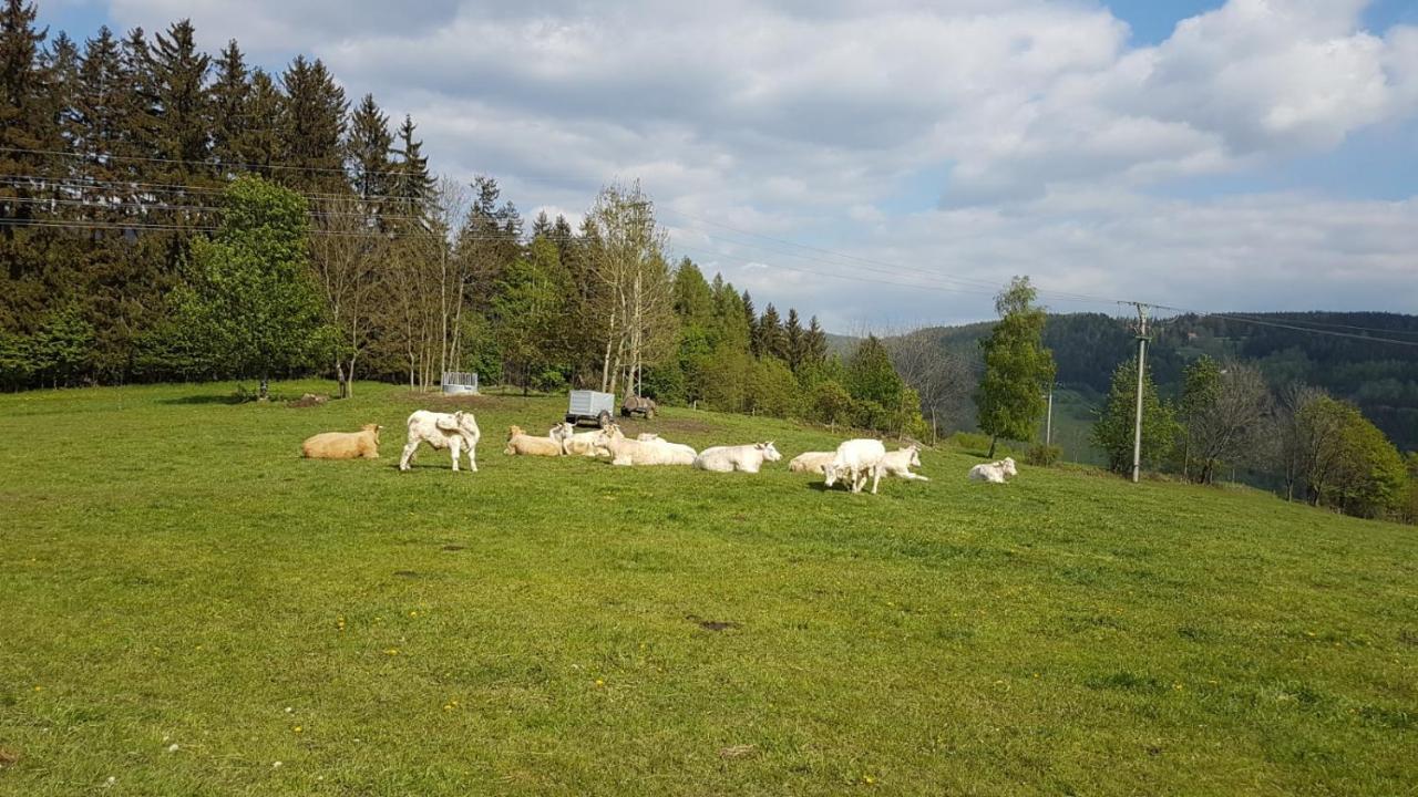 Apartman Rokytnice, Rokytno 20 Rokytnice nad Jizerou Exteriör bild